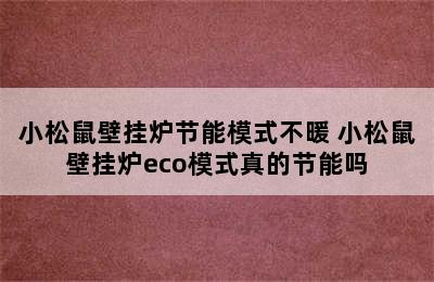 小松鼠壁挂炉节能模式不暖 小松鼠壁挂炉eco模式真的节能吗